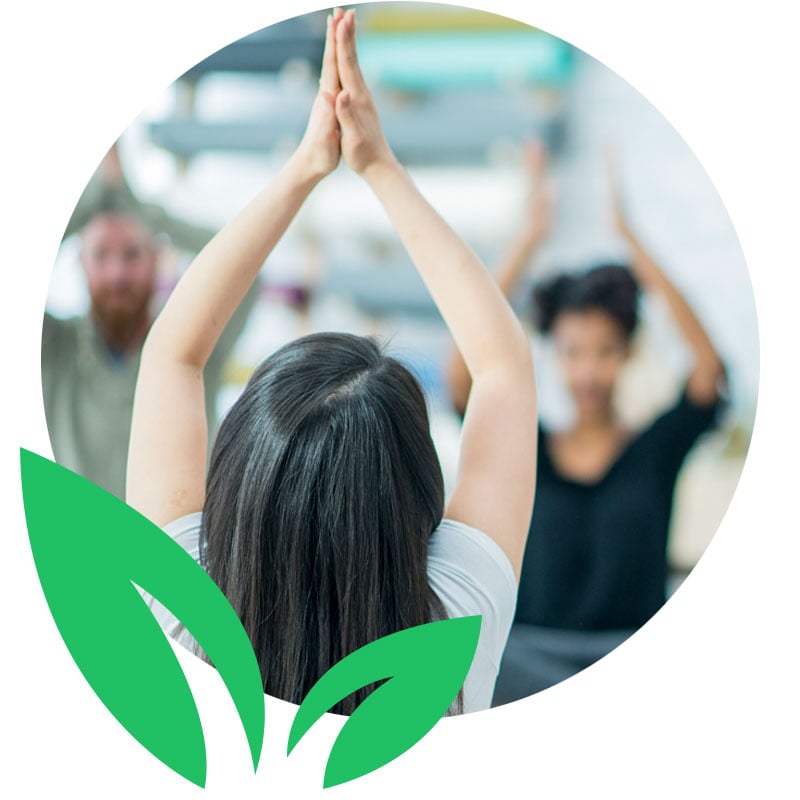 Sprout At Work | Industry-leading workplace wellness platform